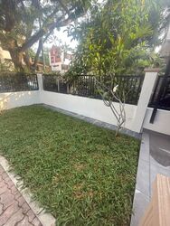 Fernhill Road (D10), Terrace #608516941